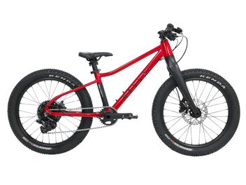 Dětské horské kolo RASCAL WILD 20