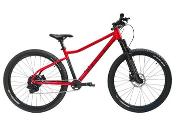 Dětské horské kolo RASCAL Wild 26