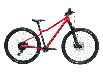 Juniorské horské kolo RASCAL WILD 27
